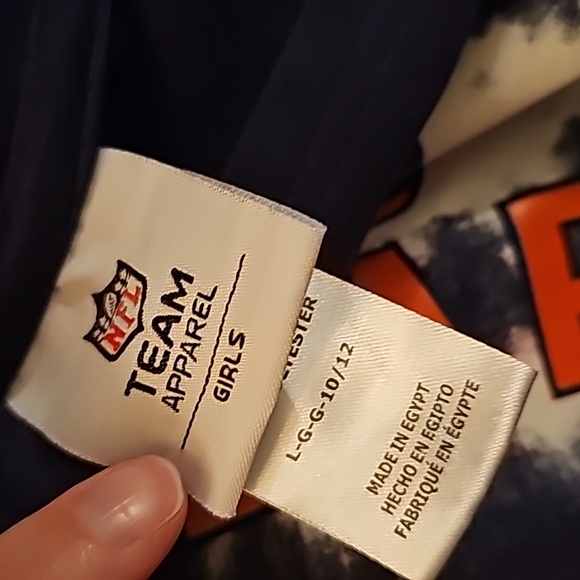 Chicago Bear Team Hoodie - Picture 5 of 6